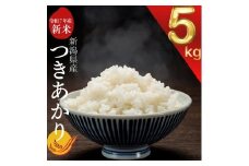 令和7年度産　上越市産つきあかり　5kg　新米　精米　新潟　米　新潟県　つきあかり　限定　おすすめ