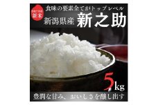 令和7年度産　上越市産新之助　5kg　新米　精米　新潟　米　新潟県　新之助　限定　おすすめ