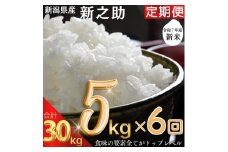 令和7年度産　上越市産新之助　5kg×6回定期便　新米　精米　新潟　米　新潟県　つきあかり　限定　定期便　おすすめ