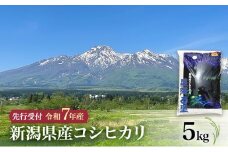 【先行予約 令和7年産 コシヒカリ】10月中旬より順次発送　新潟県産コシヒカリ 5kg 上越市 米 こめ コメ お取り寄せ
