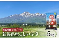 【先行予約 令和7年産 こしいぶき】10月中旬より順次発送　新潟県産こしいぶき 5kg 上越市 米 こめ コメ お取り寄せ