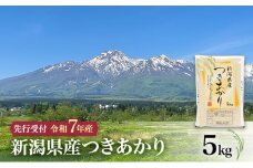 【先行予約 令和7年産 つきあかり】10月中旬より順次発送　新潟県産つきあかり 5kg 上越市 米 こめ コメ お取り寄せ