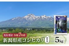 【先行予約 令和7年産 | 無洗米 コシヒカリ】10月中旬より順次発送　無洗米　新潟県産コシヒカリ 5kg 上越市 米 こめ コメ お取り寄せ