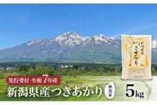 【先行予約 令和7年産 | 無洗米 つきあかり】10月中旬より順次発送　無洗米　新潟県産つきあかり 5kg 上越市 米 こめ コメ お取り寄せ