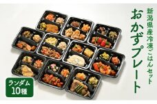 【ランダム10種】いろどりおかずプレートと新潟県産冷凍ごはんセット 健康調理 簡単 非常食 にも