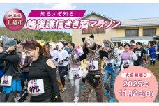 【普通クラス】知る人ぞ知る「越後謙信きき酒マラソン 」が満を持してふるさと納税に! イベント 祭り マラソン チケット 酒 日本酒 新潟 上越