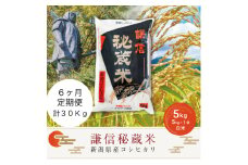 【先行予約｜10月上旬より順次出荷】定期便6ヶ月連続発送（5kg×6回分）5kg 米 新潟県産 コシヒカリ  精白米 謙信秘蔵米  お米  こめ コメ おこめ おすすめ こしひかり 新潟 にいがた 新潟米 上越 上越産 上越米 ふるさと納税 定期便 上杉謙信 人気