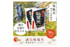 【先行予約｜10月上旬より順次出荷】定期便奇数月発送（10kg×6回分）10kg 米 新潟県産 コシヒカリ  精白米 謙信秘蔵米  お米  こめ コメ