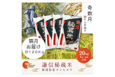 【先行予約｜10月上旬より順次出荷】定期便奇数月発送（20kg×6回分）20kg 米 新潟県産 コシヒカリ  精白米 謙信秘蔵米  お米  こめ コメ