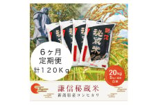 【先行予約｜10月上旬より順次出荷】定期便6ヶ月連続発送（20kg×6回分）20kg 米 新潟県産 コシヒカリ  精白米 謙信秘蔵米  お米  こめ コメ おこめ おすすめ こしひかり 新潟 にいがた 新潟米 上越 上越産 上越米 ふるさと納税 定期便 人気
