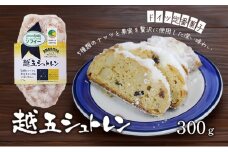 パン 越五シュトレン 300g シュトレン シュトーレン 菓子パン クリスマス