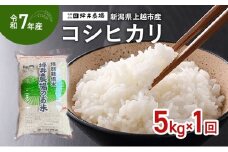 【10月上旬より順次出荷】令和7年産 新潟県 上越市産 コシヒカリ 5kg 精米