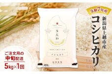 【10月より順次出荷※中旬配送】令和7年産 新潟県 上越市産 コシヒカリ 5kg 白米