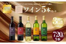 ワイン 岩の原ワイン 善兵衛品種 飲み比べ 5本 セット お酒 おすすめ 岩の原 ふるさと納税 酒 新潟 上越
