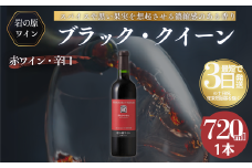 ワイン 岩の原ワイン ブラック・クイーン ( 赤ワイン 720ml ) お酒 岩の原 ふるさと納税 酒 新潟 上越