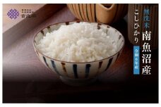 【定期便】南魚沼産こしひかり　無洗米（5kg×2 全3回）