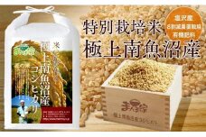 【令和7年産新米予約】特別栽培米「極上南魚沼産コシヒカリ」（有機肥料、8割減農薬栽培）玄米5ｋｇ【2025年9月中旬より順次発送予定】
