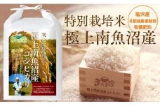 【令和7年産新米予約】【定期便】特別栽培米「極上南魚沼産コシヒカリ」（有機肥料、8割減農薬栽培）精米10ｋｇ×全12回【2025年9月中旬より順次発送予定】