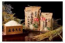 【令和7年産 新米予約】【高級】南魚沼塩沢産こしひかり5kg(無洗米)【令和7年10月中旬以降発送】【米 お米 こしひかり 南魚沼 米 無洗米 こめ 新潟 米】