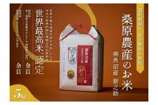 【R7年産新米予約】ギネス世界記録「世界最高米」認定 最高級南魚沼産新之助5kg 桑原農産のお米【2025年10月下旬より順次発送予定】