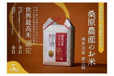 【R7年産新米予約】ギネス世界記録「世界最高米」認定 最高級南魚沼産新之助5kg 桑原農産のお米【2025年10月下旬より順次発送予定】