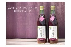カベルネ・ソーヴィニヨン 八色葡萄ジュース２本セット