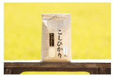【頒布会】【令和7年産 新米予約】南魚沼産コシヒカリ（無洗米5kg×全6回）【令和7年11月上旬より順次発送予定】