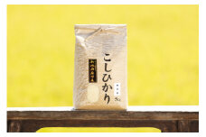 【頒布会】【令和7年産 新米予約】南魚沼産コシヒカリ（無洗米5kg×全6回）【令和7年11月上旬より順次発送予定】