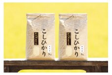 【頒布会】【令和7年産 新米予約】南魚沼産コシヒカリ（無洗米10kg×全12回）【令和7年11月上旬より順次発送予定】