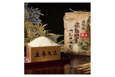 【頒布会】【令和7年産 新米予約】南魚沼塩沢産こしひかり（白米5kg×全6回）【令和7年11月上旬より順次発送予定】