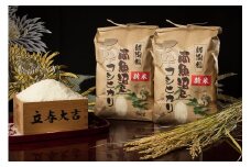 【頒布会】【令和7年産 新米予約】南魚沼塩沢産こしひかり（白米10kg×全6回）【令和7年11月上旬より順次発送予定】