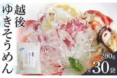 越後ゆきそうめん（200g×30袋）