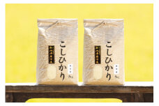 【頒布会】【令和7年産 新米予約】南魚沼産コシヒカリ（無洗米10kg×全3回）【令和7年11月上旬より順次発送予定】