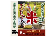 【令和７年産新米予約】6か月定期便　がんこおやじが作った南魚沼産コシヒカリ白米６kg（３kg×２袋）【2025年10月20日頃より順次発送予定】