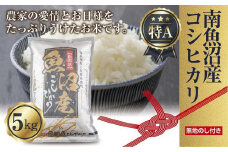 【令和6年産】【無地熨斗】新潟県 南魚沼産 コシヒカリ お米 5kg 精米済み （お米の美味しい炊き方ガイド付き）