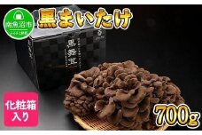 新潟県 南魚沼産 厳選 国産 黒 高級 舞茸 産地直送 700g