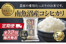 【令和7年産新米】【定期便】新潟県 南魚沼産 コシヒカリ お米 5kg×計12回 精米済み 年間 毎月発送 （お米の美味しい炊き方ガイド付き）【2025年10月中旬より順次発送予定】