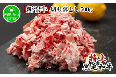 新潟牛 南魚沼産 にいがた 黒毛和牛 切り落とし 500ｇ