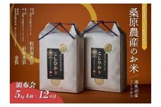 【頒布会】R7年産新米予約　最優秀賞受賞【8割減農薬】最高峰南魚沼産こしひかり20kg（5kg×4）×12ヶ月　桑原農産のお米(精米)【2025年9月下旬より順次発送予定】
