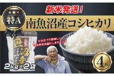 【新米発送】 令和7年産 新潟県 南魚沼産 コシヒカリ お米 2kg×2袋 計 4kg 精米済み（お米の美味しい炊き方ガイド付き） お米 こめ 白米 新米 こしひかり 食品 人気 おすすめ 送料無料 魚沼 南魚沼 南魚沼市 新潟県産 新潟県 精米 産直 産地直送 お取り寄せ【2025年10月上旬より順次発送予定】