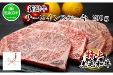 【無地熨斗】新潟和牛 南魚沼産 にいがた 黒毛和牛 サーロインステーキ 200ｇ×4枚 4人前 新潟県 南魚沼市