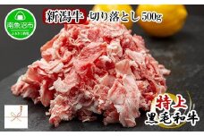 【無地熨斗】新潟和牛 南魚沼産 にいがた 黒毛和牛 切り落とし 500ｇ
