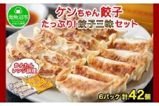 新潟県 南魚沼市 チルド手焼き餃子・ジャンボ餃子 食べ比べ セット 各3パック 計42個 ケンちゃん餃子 冷蔵 中華 点心 惣菜 ビール お取り寄せ グルメ