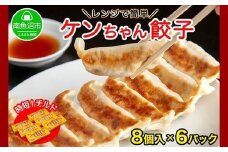 新潟県 南魚沼市 チルド手焼き餃子 8個入り × 6パック 計48個 ケンちゃん餃子 冷蔵 中華 点心 惣菜 ビール お取り寄せ グルメ