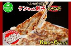 新潟県 南魚沼市 チルドジャンボ餃子 6個入り × 6パック 計36個 ケンちゃん餃子 冷蔵 中華 点心 惣菜 ビール お取り寄せ グルメ