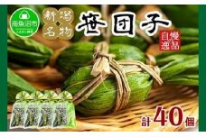 新潟県 南魚沼市 笹団子 10個 × 4袋  計40個 やまと食品 和菓子 お菓子 和スイーツ あんこ 新潟名物 お取り寄せ グルメ お中元 お歳暮 お土産 ギフト