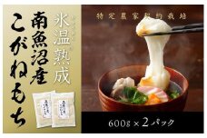 【生切り餅】氷温熟成南魚沼産こがねもち1.2kg