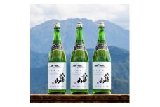 越後の名酒「八海山」 純米吟醸55％【1800ml】×3本（箱付き）