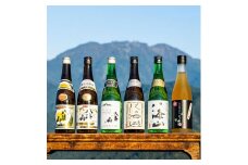 越後の名酒「八海山」バラエティセットA