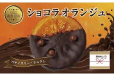 無地熨斗 ショコラオランジュ 計5枚 チョコレート ビターチョコ ショコラ オレンジ オランジュ コーティング 洋菓子 お菓子 菓子 手土産 スイーツ 贈り物 ギフト 熨斗 のし 贈答用 新潟県 南魚沼市
